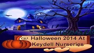 Halloween night 2014 at Keydell Nurseries