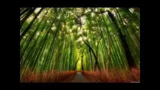 Hollow bamboo - Peter Makena