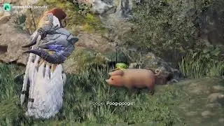 Poogie Tutorial