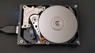 WD Elements 5TB external hard drive failure: ticktacking heads