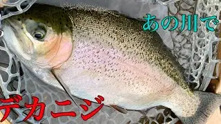 ビッグドライでデカニジと戯れる　in 十勝