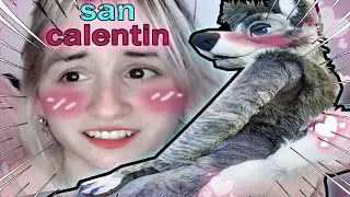 san calentin furro