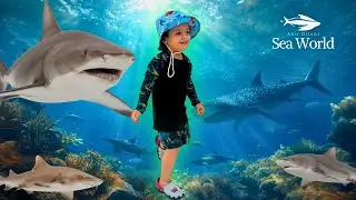 SeaWorld Абу-Даби | Самый безумный морской парк в мире!