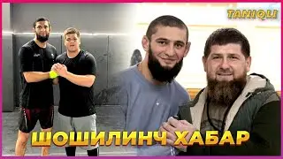 Шошилинч Хамзат Чимаев ва Рамзан Қодировни ўғли