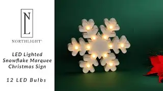 LED Lighted Snowflake Marquee Christmas Wall Art - 9.5