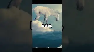 Legendary Creatures