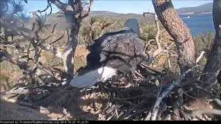 💜Jackie Tries Out The Nest Bowl! 💜10-30-19  Big Bear Eagles