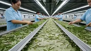 Inside the Silk Factory &ndash; How Tiny Worms Create Royal Fabric (Full Process)