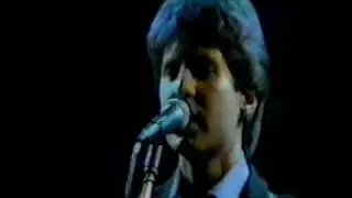 The dB's - Happenstance - Sweden 1982