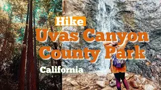 Hiking Uvas Canyon County Park Morgan Hill California
