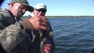 MakeLure - Double Wubble - Designing a lure to fit conditions