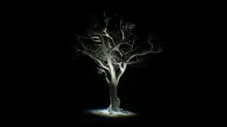 Weaver Audio Log And Quote ~ The Reckoning Intel ~ Black Ops 6 Zombies