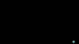 gbvsr 短気マン