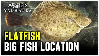 Assassin's Creed Valhalla - Big Flatfish Location