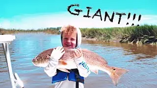 BIG REDFISH vs 5 Year Old!!!! | DRAG SCREAMING