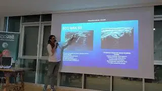 🇮🇹 AMESVI Tendiboots Canine presentazione - Dr Lidano