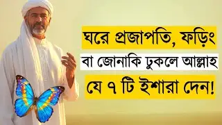 প্রজাপতি, ফড়িং বা জোনাকি ঢুকলে যে ৭টি ইশারা দেন | Islamic Signs in Your Home | Islamic Mind Zone