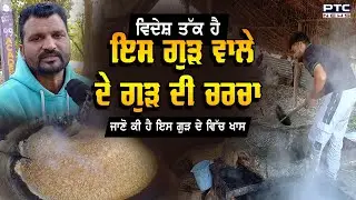 Hoshiarpur : ਵਿਦੇਸ਼ ਤੱਕ ਹੈ ਇਸ ਗੁੜ ਵਾਲੇ ਦੇ ਗੁੜ ਦੀ ਚਰਚਾ, ਜਾਣੋ ਕੀ ਹੈ ਇਸ ਗੁੜ ਦੇ ਵਿੱਚ ਖਾਸ | Jaggery