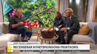 Tr&auml;dg&aring;rdsm&auml;staren om hur du enkelt kan odla hemma | Nyhetsmorgon | TV4 & TV4 Play