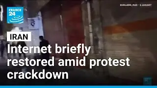 Iran’s internet briefly restored amid widespread protest crackdown • FRANCE 24 English