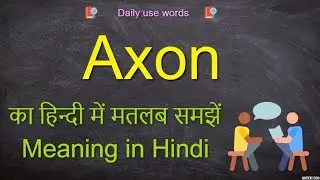 Axon meaning || Axon meaning in Hindi || Axon || Axon Example || Axon function