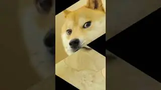 Giga Dog