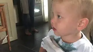 Van alles wat (lo&lo Mikai ) 2019