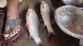 Never seen! Rohu Fish Cutting Skills In Village Boy