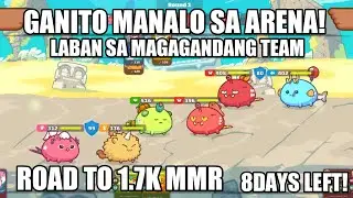 GANITO MANALO SA ARENA! PURE BBP GAMEPLAY (ROAD TO 1.7K MMR) - AXIE INFINITY