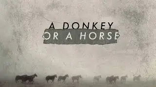 A Donkey or a Horse &ndash;&nbsp;Pastor Michael Petillo