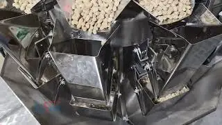 Automatic Hazelnut Premade Pouch Packing Machine | Multihead Weigher + Doypack Packaging Line
