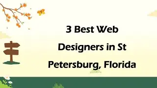 3 Best Web Designers in St Petersburg, Florida | Website Developers