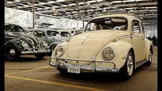 VW Nationals 2021 Fairfield Showground Australia