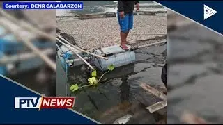 Palasyo, pinatututukan ang nangyaring fish kill sa Taal Lake