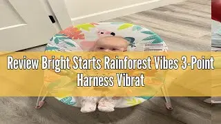 Review Bright Starts Rainforest Vibes 3-Point Harness Vibrating Baby Bouncer with -Toy bar