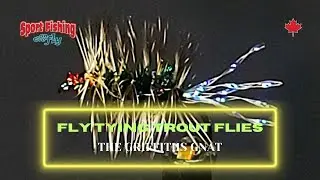 FLY TYING TROUT  FLIES - PRO STAFF ON THE BENCH: THE GRIFFITHS GNAT WITH BRENT SCHLENKER