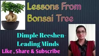 Are you a  Bonsai Tree? നിങ്ങൾ ബോൺസായ് വൃക്ഷം ആണോ?