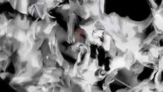 Royer - Afre