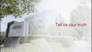 The Veritas Customer and Partner Engagement Program
