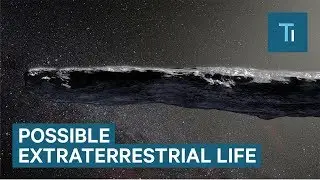 First-Ever-Observed Interstellar Object Will Be Studied For Extraterrestrial Life