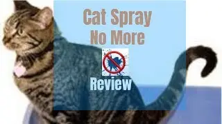 Cat Spraying No More Review 2019 - Does it work - Scam ( Plus Bonuses)