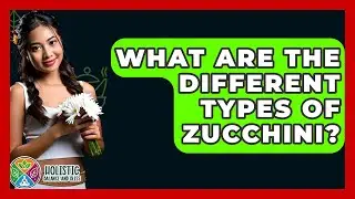 What Are The Different Types Of Zucchini? - Holistic Balance And Bliss