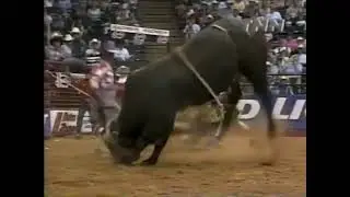 Dillinger bucks Corey Navarre - 00 PBR Houston