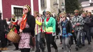 Gr&ouml;bminger Faschingsumzug 2016