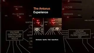 The Antonus Experience