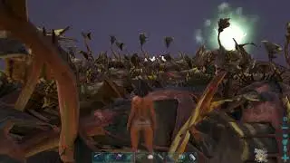 Ark randumb vid