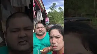Ayaw matangal 