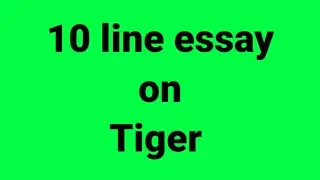 Сочинение о тигре из 10 строк/эссе о тигре/абзац о тигре/речь о тигре/жизнь тигра/среда обитания ...