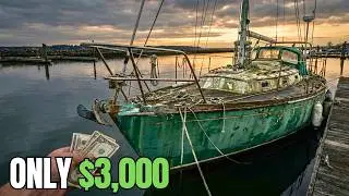 I Bought a Westsail 32 for ONLY $3,000! Old Sailor Sold Me His Abandoned Classic