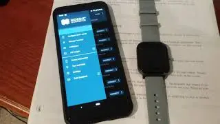 CatHacks Pok&eacute;tch Demo